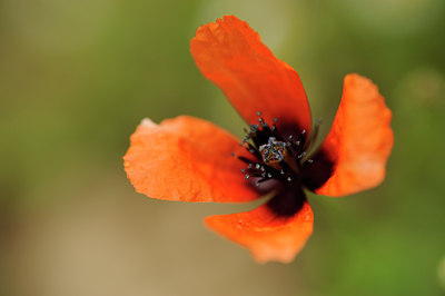 BUITEN BEELD Foto: 131728