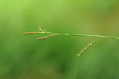 BUITEN BEELD Foto: 131732