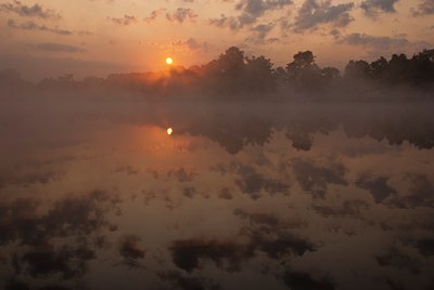 BUITEN BEELD Foto: 131763