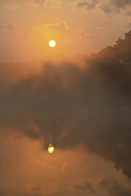BUITEN BEELD Foto: 131767