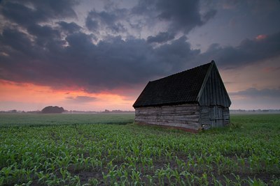 BUITEN BEELD Foto: 131794