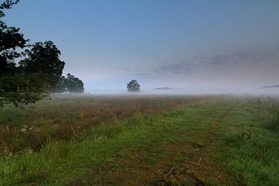 BUITEN BEELD Foto: 131798