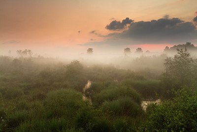 BUITEN BEELD Foto: 131800