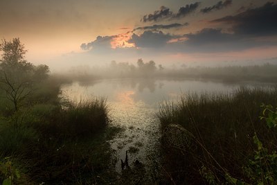 BUITEN BEELD Foto: 131802