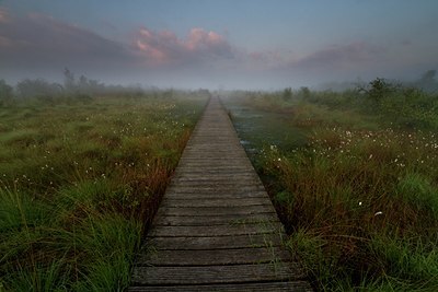 BUITEN BEELD Foto: 131803