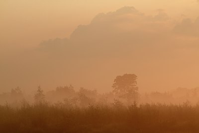 BUITEN BEELD Foto: 131805