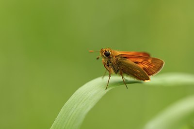 BUITEN BEELD Foto: 131853