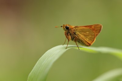 BUITEN BEELD Foto: 131855
