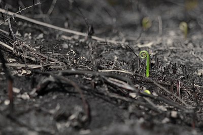 BUITEN BEELD Foto: 131871