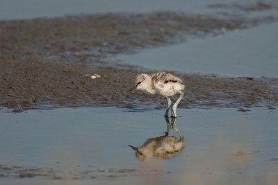 BUITEN BEELD Foto: 131902