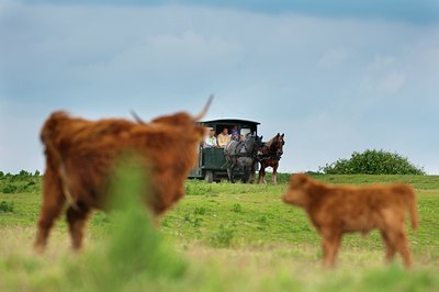 BUITEN BEELD Foto: 132026