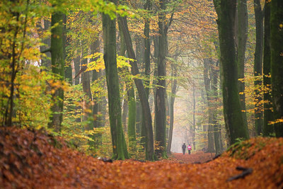 BUITEN BEELD Foto: 132097