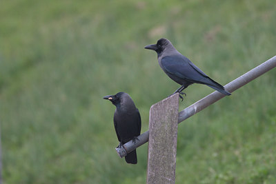 BUITEN BEELD Foto: 132186