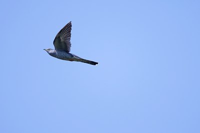BUITEN BEELD Foto: 132211