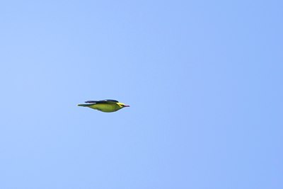 BUITEN BEELD Foto: 132213