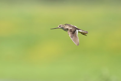 BUITEN BEELD Foto: 132246