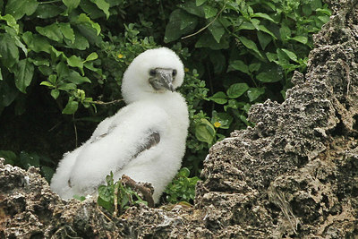 BUITEN BEELD Foto: 132369