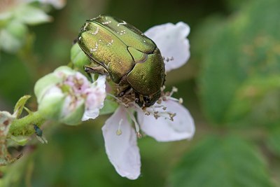 BUITEN BEELD Foto: 132410