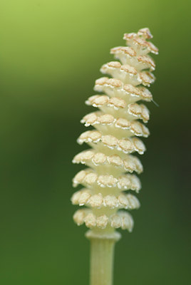 BUITEN BEELD Foto: 132461