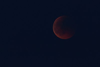 BUITEN BEELD Foto: 132472