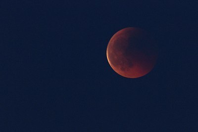 BUITEN BEELD Foto: 132474