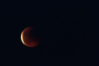 BUITEN BEELD Foto: 132475