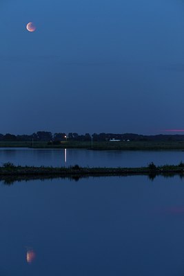 BUITEN BEELD Foto: 132477