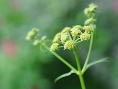 BUITEN BEELD Foto: 132481