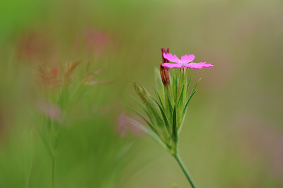 BUITEN BEELD Foto: 132483