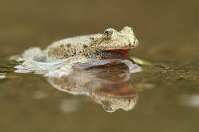 BUITEN BEELD Foto: 132518