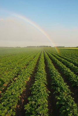 BUITEN BEELD Foto: 132530