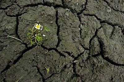 BUITEN BEELD Foto: 132537