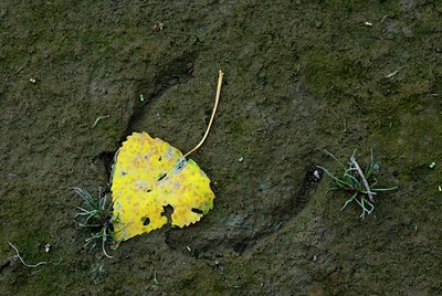 BUITEN BEELD Foto: 132553