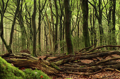BUITEN BEELD Foto: 132591