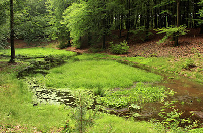 BUITEN BEELD Foto: 132595