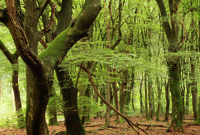 BUITEN BEELD Foto: 132596