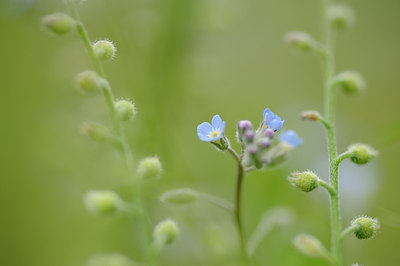 BUITEN BEELD Foto: 132617