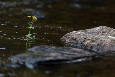 BUITEN BEELD Foto: 132630