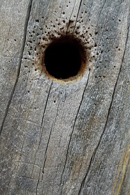 BUITEN BEELD Foto: 132637