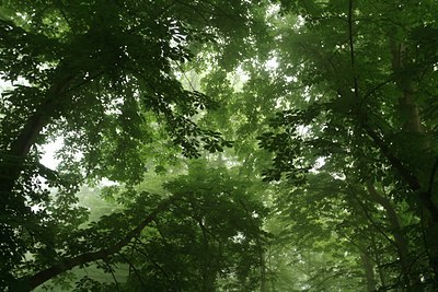 BUITEN BEELD Foto: 132673