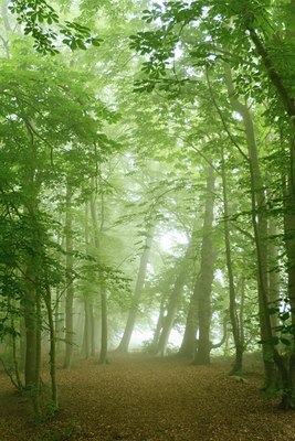 BUITEN BEELD Foto: 132675