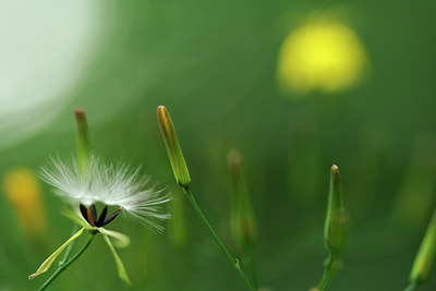 BUITEN BEELD Foto: 132725