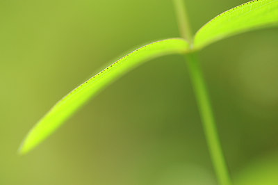 BUITEN BEELD Foto: 132740