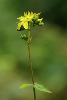 BUITEN BEELD Foto: 132743
