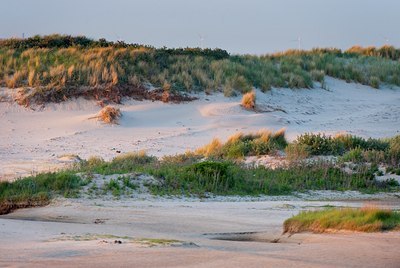 BUITEN BEELD Foto: 132762
