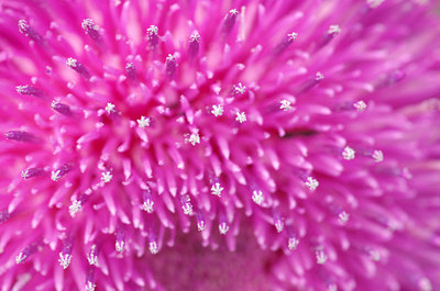 BUITEN BEELD Foto: 132788