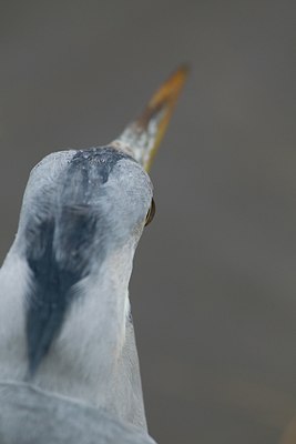 BUITEN BEELD Foto: 132811