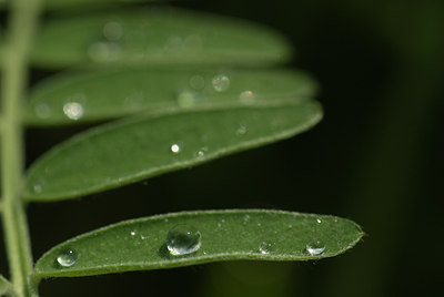 BUITEN BEELD Foto: 132867
