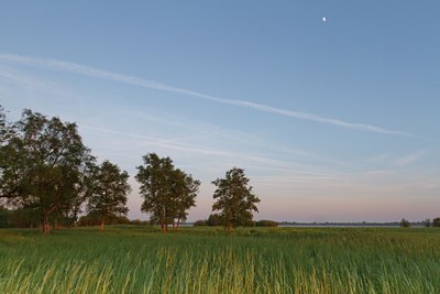 BUITEN BEELD Foto: 132900