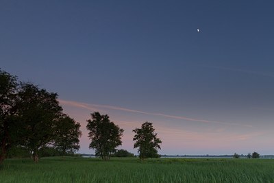 BUITEN BEELD Foto: 132904